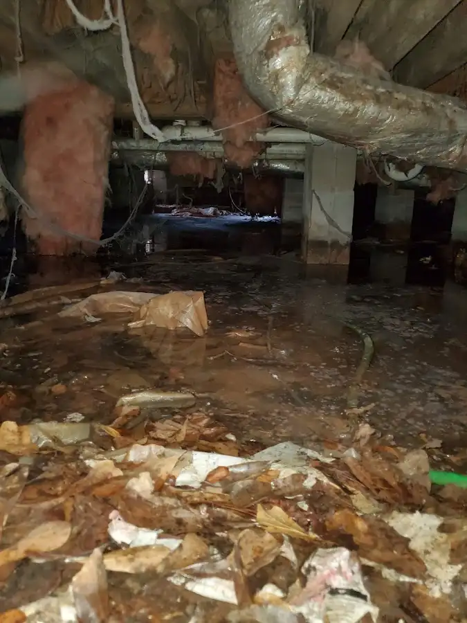Crawl space flood assessment for Leak Detection & Repair in Clemmons